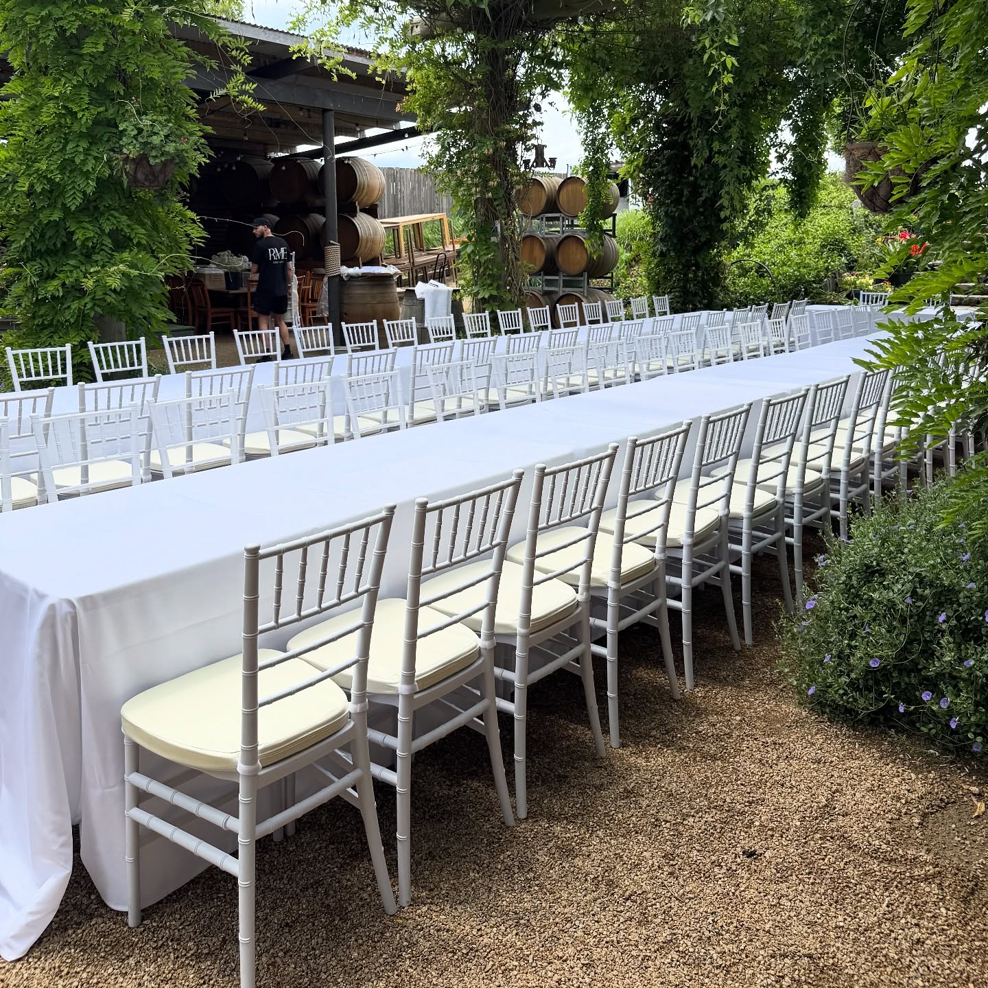 Lucas & Khadeja ๐๐
Tiffany chairs, tables & linen: @rentmyeventmelb
Venue: @alowyngardens
Weโre in full event-season mode! Only a few dates left for the rest of the year.
2026 bookings are openโDM us to plan your next celebration ๐
#melbourneeventhire #melbournechairhire #eventdecor #eventstyling #tiffanychairs #whitetiffanychairs #wedding #outdoorweddings